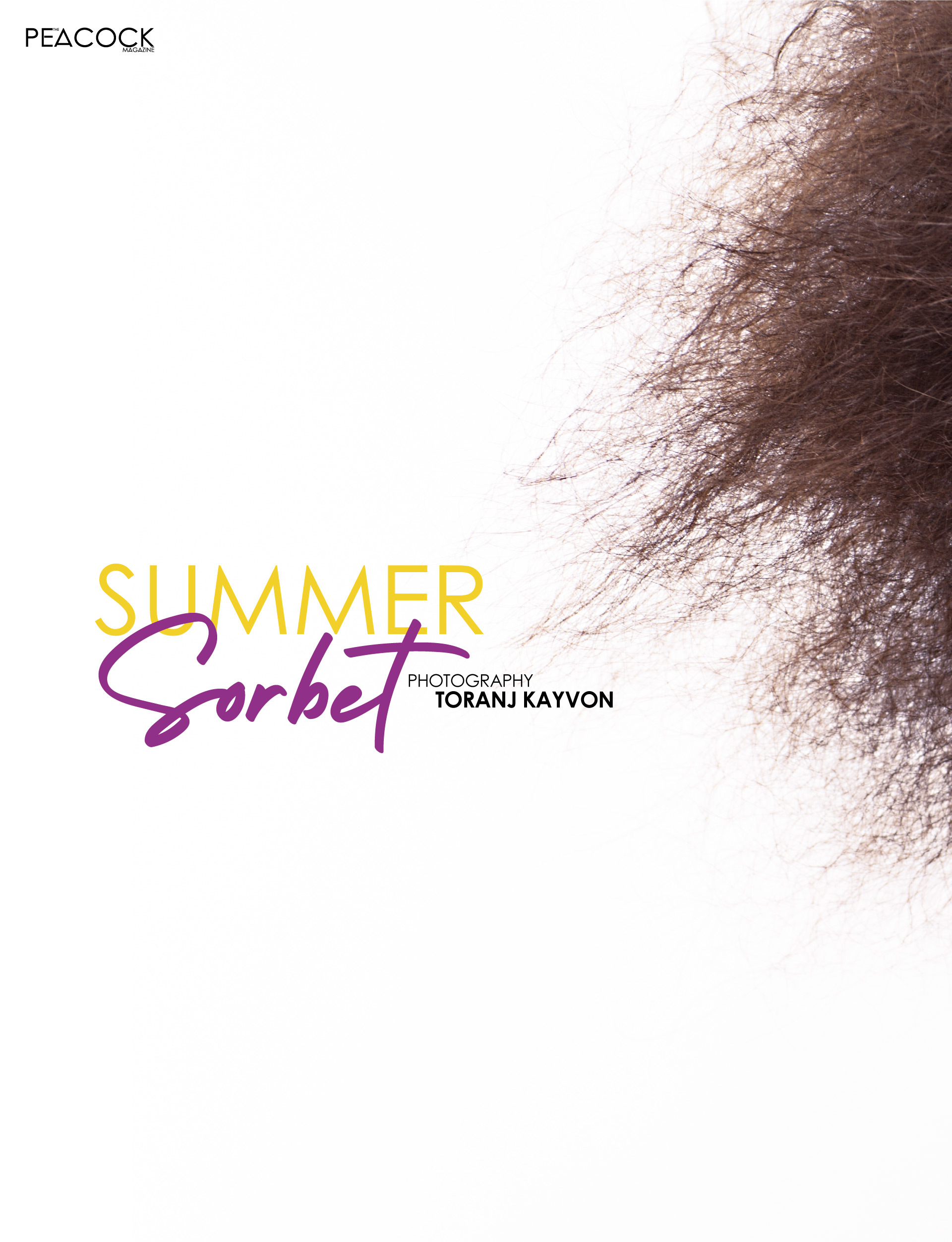 Summer Sorbet